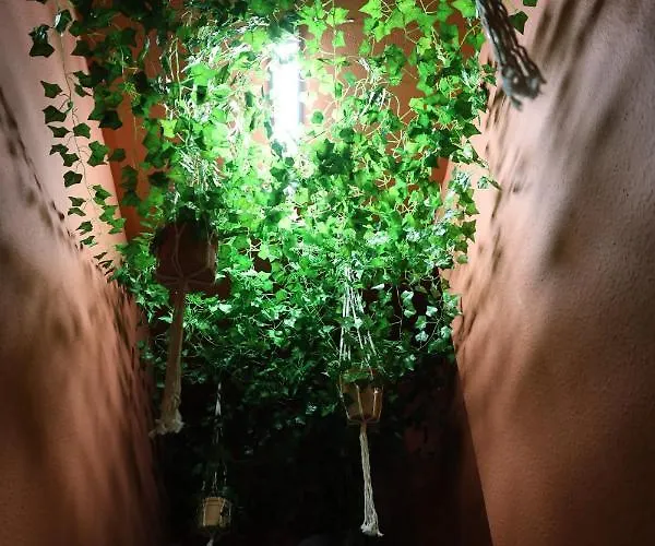 Апартаменты 61