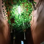 Apartmán 61